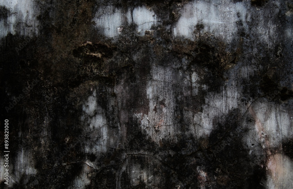 The textures and patterns on concrete walls look old and unique, making them popular as backgrounds to add messages and to complement any design. beautiful abstract background The textures and patterns on concrete walls look old and unique, making them popular as backgrounds to add messages and to complement any design. beautiful abstract background