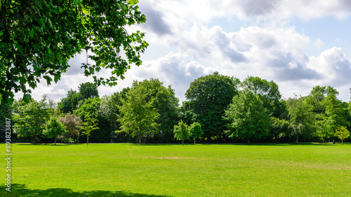 grass and blue sky