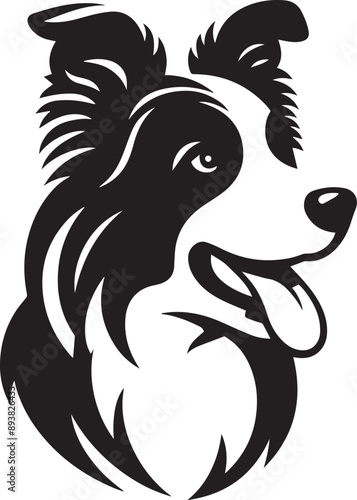 Border collie icon isolated on a white background. Border collie logo illustration.