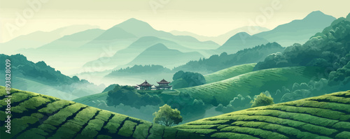 Verdant tea plantation nestled in the mist-shrouded mountainside. Vector flat minimalistic isolated illustration.