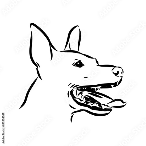 American naked Terrier an American hairless terrier dog American naked terrier vector sketch