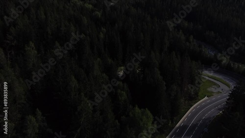 Winding Road Through the Mont Blanc Forest