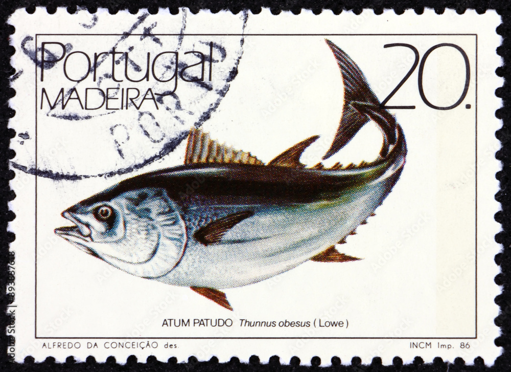 Postage stamp Portugal 1986 bigeye tuna, thunnus obesus, a species of true tuna