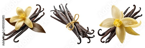 vanilla beans isolated on transparent background