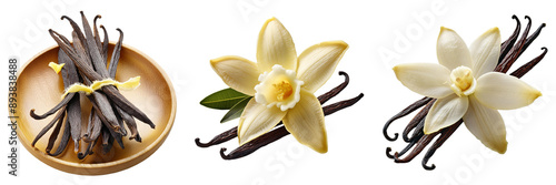 vanilla beans isolated on transparent background