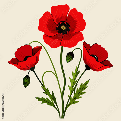 red poppy flowers