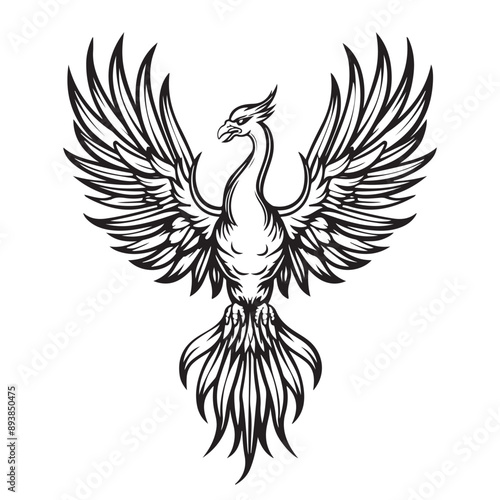 Abstract Phoenix Outline Bird Portrait