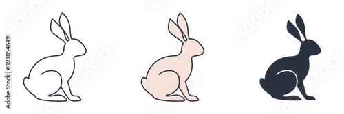 Rabbit icon symbol vector illustration isolated on white background