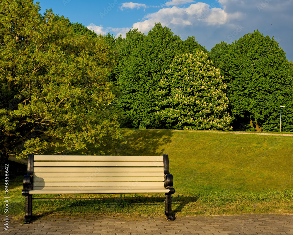 Bench in the park on a sunny summer day. Relax. Ecology. Bench in the park on a sunny summer day. Relax. Ecology.
