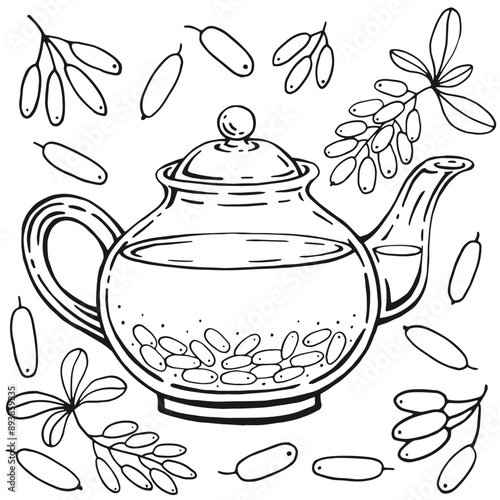 Glass teapot, barberry. Hand drawn vector illustration in outline style.