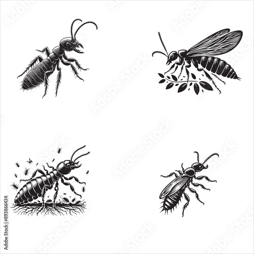 Silhouette  of Termite on clean vector set isolated on white backgorund 