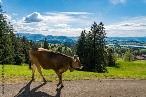 Leisurely hike in early summer at Rottachsee in the Allgau photo