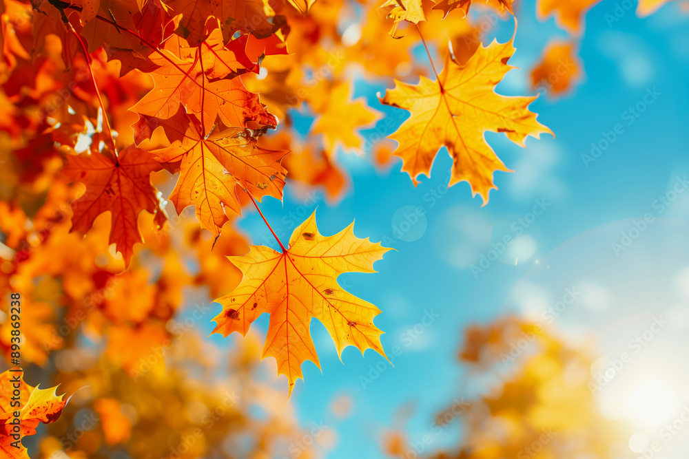 Autumn colorful bright leaves swinging in a tree in autumnal park. Autumn colorful background, fall backdrop Autumn colorful bright leaves swinging in a tree in autumnal park. Autumn colorful background, fall backdrop