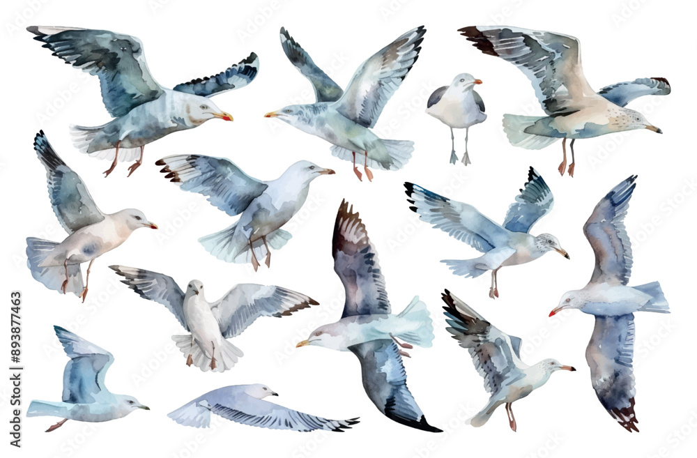 Obraz premium Seagulls Watercolor Set Soft Shapes Pure Colours Isolated on White Background Bird Illustration Coastal Wildlife Painting Ocean Scene Decorative Art