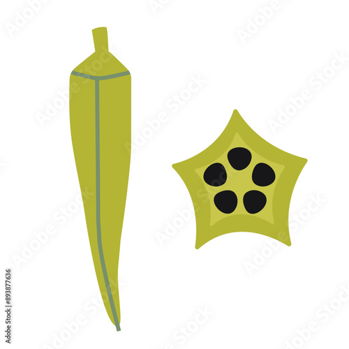 Okra, Lady finger. Vector illustration isolated on white background, hand drawn, flat design