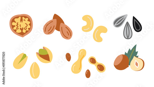 Nuts and seeds set. Peanut, walnut, sunflower seeds, pistachio, cashew, chazelnut and almond. Trendy modern vector illustration isolated on white background, hand drawn, flat design