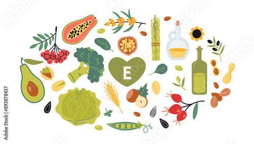 Set with Best sources of vitamin E foods. Fruits, vegetables, nuts, berries and oil. Isolated vector illustration, hand drawn, flat design