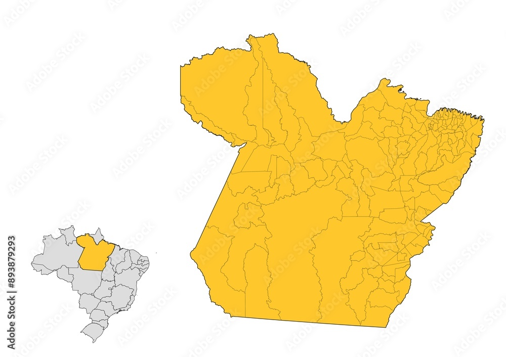 Mapa del estado de Pará con delimitaciones municipales en Brasil