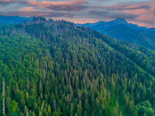 Tatra mountains in the summer, view of the polish Tatra and  top of Nosal.. Panorama of polish mountains in the holiday for trekking, Zakopane, Poland