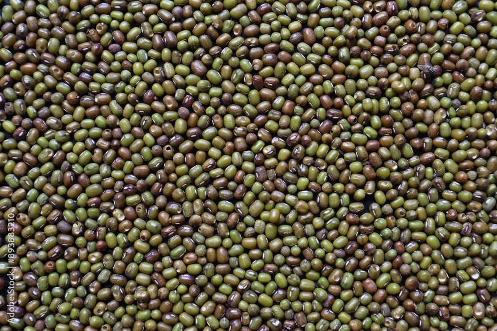 Background of grains of beans laying on a table to inspect bite marks caused by pests destroying pea seeds being prepared for planting. Organic mung bean seeds destroyed by insect pests Background of grains of beans laying on a table to inspect bite marks caused by pests destroying pea seeds being prepared for planting. Organic mung bean seeds destroyed by insect pests