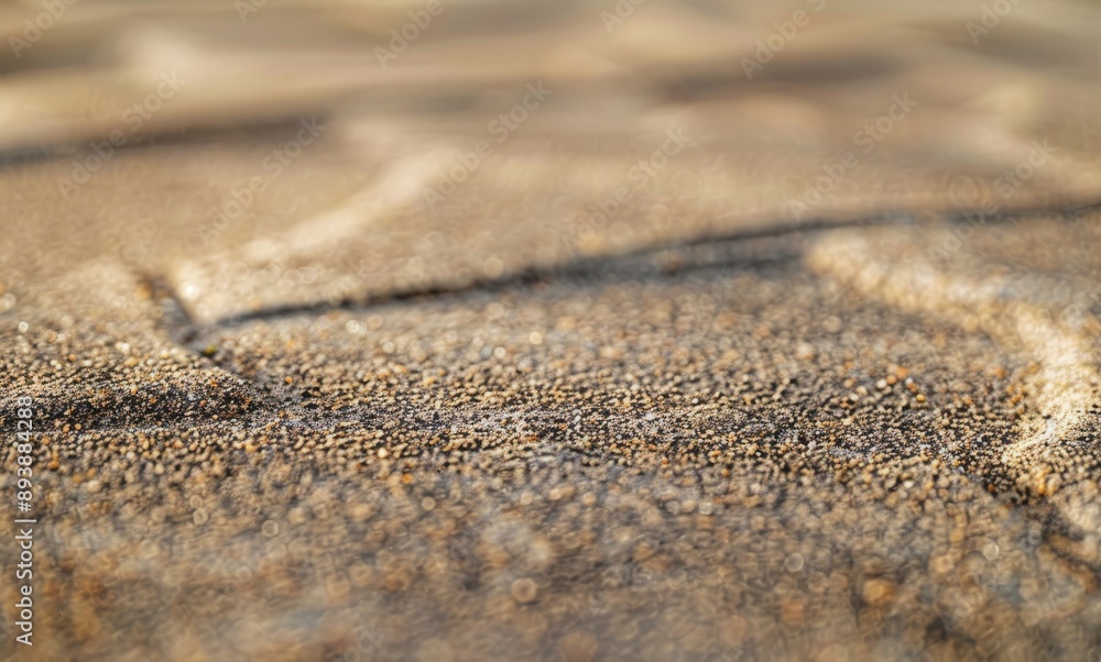 sand on an asphalt shingle roof, showing detailed lines and textures sand on an asphalt shingle roof, showing detailed lines and textures