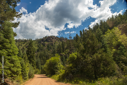 steep granite bluffs covered in pine and spruce trees with narrow graveled back road curving between the bluffs  in Colorado; concepts of adventure, scenic byway and road less traveled
