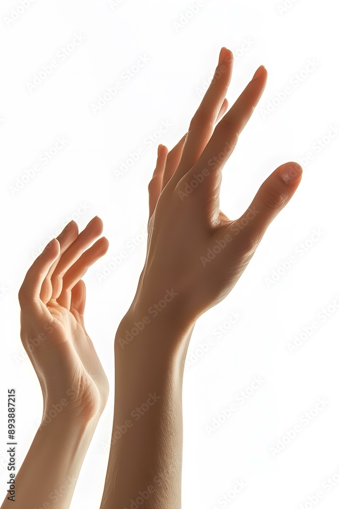 Two elegant female hands with open palms reaching up in the air isolated on white background Two elegant female hands with open palms reaching up in the air isolated on white background