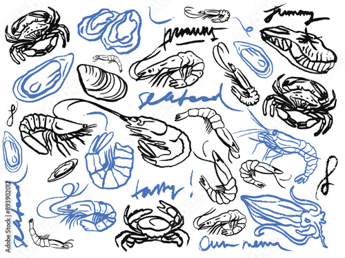 Isolated vector set of hand drawn seafood. Shrimps, langoustines, prawns, salmon, trout, oysters, mussels, squid, crab, lemon, octopus, rosemary, sea urchin. Сhalk drawing. Chalkboard. 