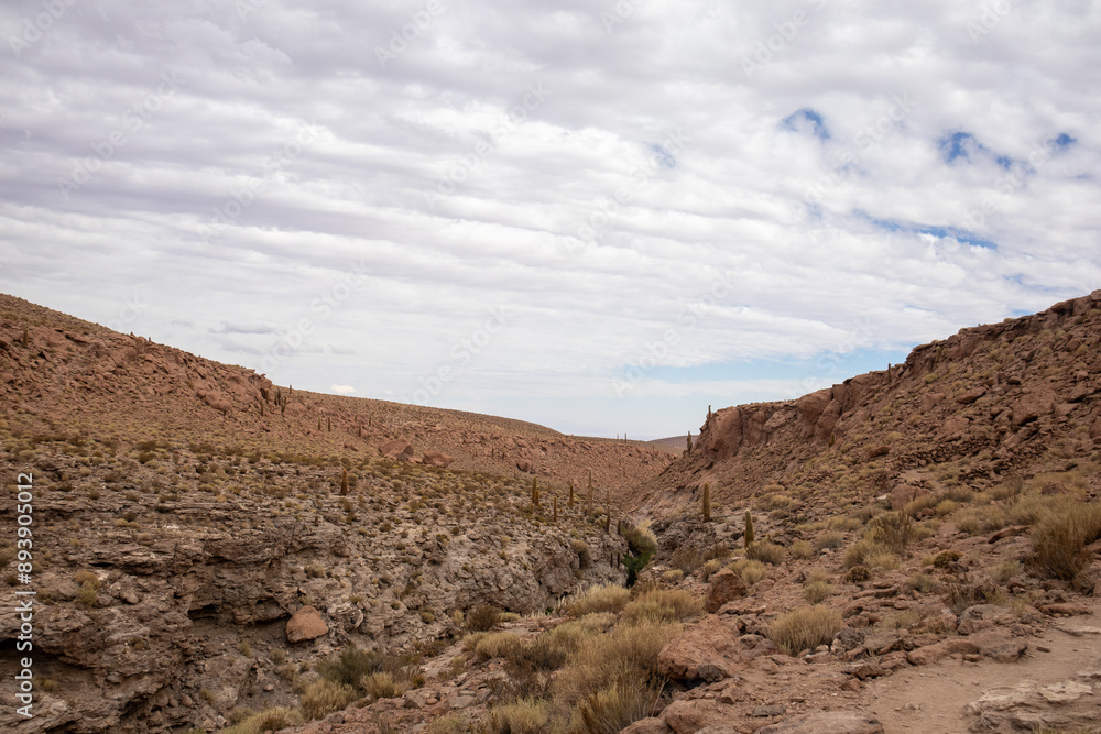 landscape in the desert landscape in the desert