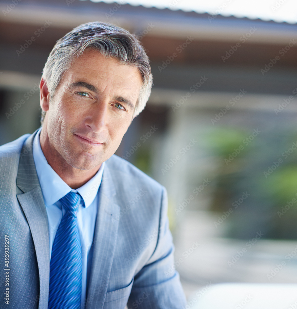 Accountant, corporate and portrait of mature businessman with company pride, confidence and smile. Entrepreneur, financial consultant and face of person in office for career, job opportunity and work Accountant, corporate and portrait of mature businessman with company pride, confidence and smile. Entrepreneur, financial consultant and face of person in office for career, job opportunity and work