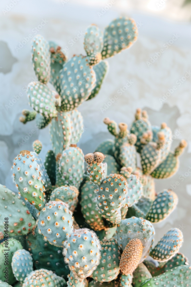 DeseDesert aesthetics. AI generatedrt aesthetics. AI generated DeseDesert aesthetics. AI generatedrt aesthetics. AI generated