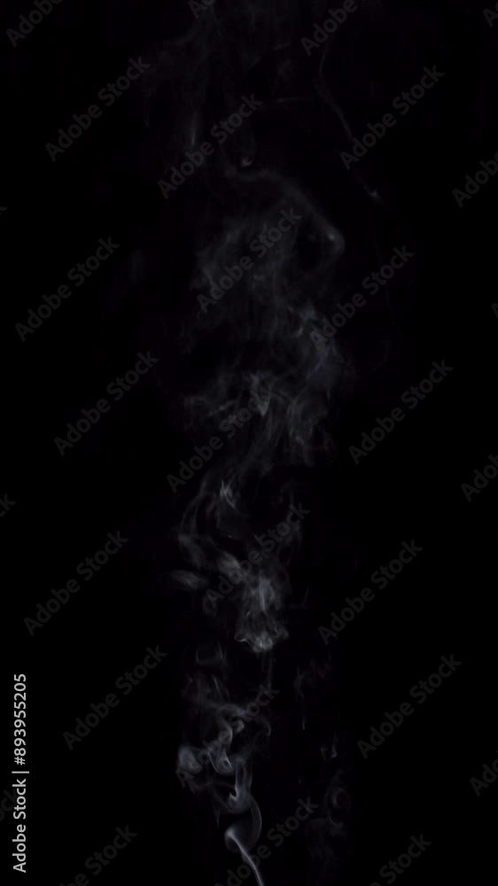 A white thread of smoke billowing in the darkness. Small cloud streams on a black background, vertical shot. A white thread of smoke billowing in the darkness. Small cloud streams on a black background, vertical shot.