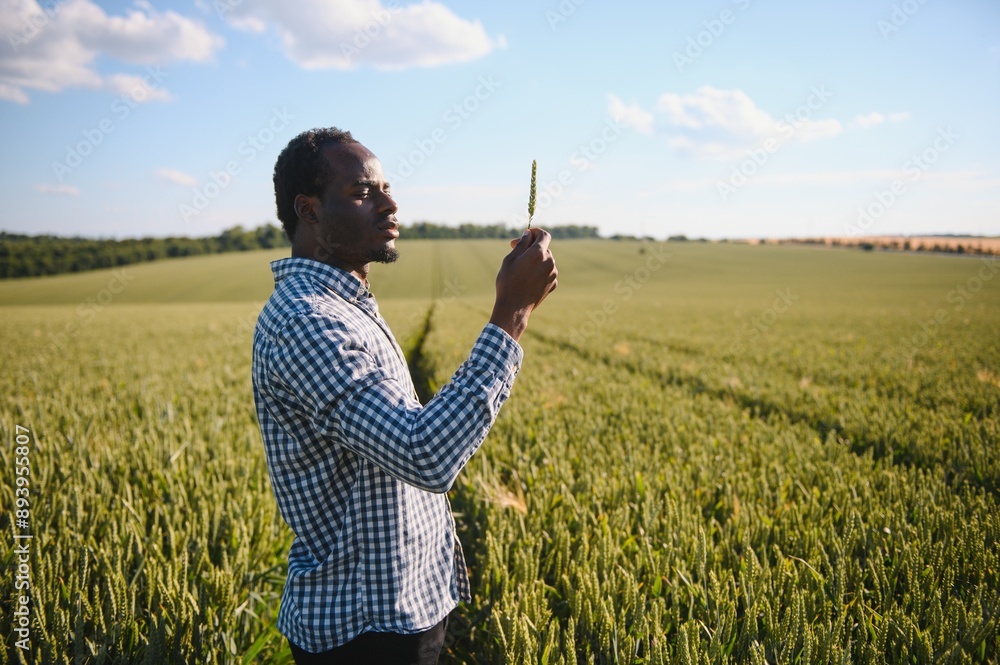 © Serhii - Farmer is standing in his growing wheat field. He is examining crops after sowing © Serhii - Farmer is standing in his growing wheat field. He is examining crops after sowing