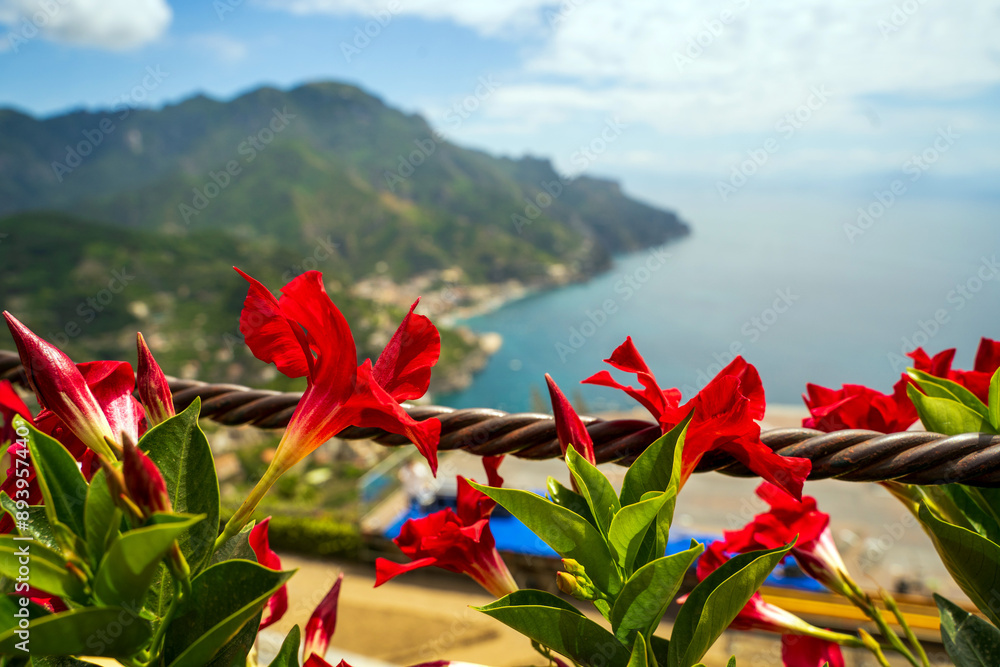 Beautiful Red Flowers Overlooking a Scenic Mountain and Sea View