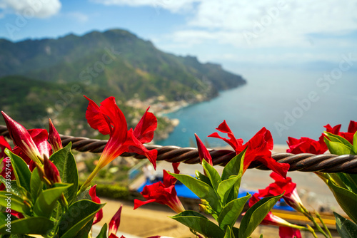 Obraz na płótnie Beautiful Red Flowers Overlooking a Scenic Mountain and Sea View w salonie