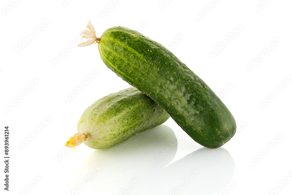 Ripe fresh green cucumbers isolated on a white background. Full depth of field. Close-up Ripe fresh green cucumbers isolated on a white background. Full depth of field. Close-up