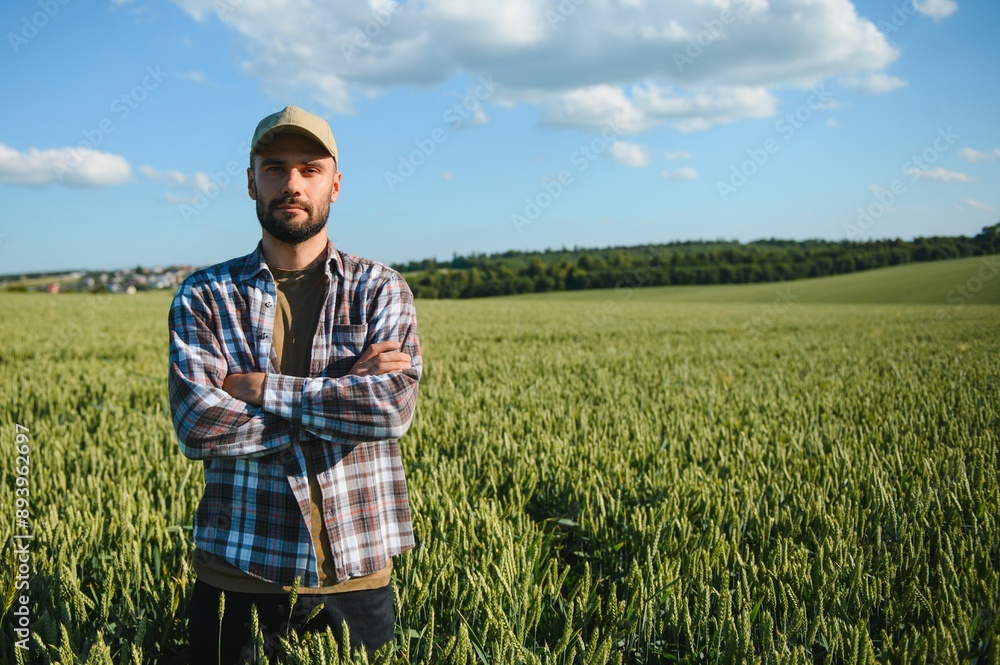 Young farmer standing in a green wheat field examining crop Young farmer standing in a green wheat field examining crop