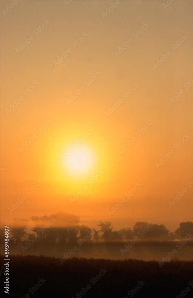 Early Golden Morning Early Golden Morning