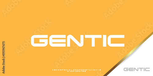 Elegant Vector Alphabet Letters Font - Classic Modern Serif Lettering for Minimal Fashion
