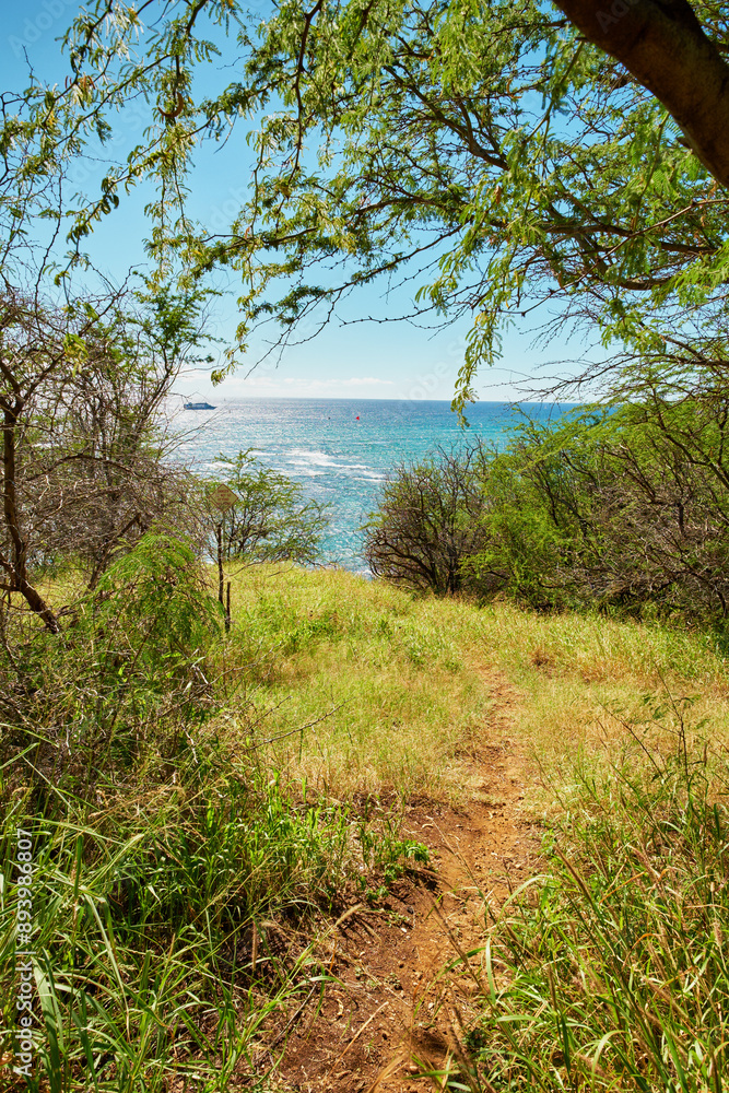 Landscape, nature and path on mountain with seascape for travel, vacation and environment for hiking adventure. Wilderness, grass and blue sky by ocean for tropical island, sustainable or destination Landscape, nature and path on mountain with seascape for travel, vacation and environment for hiking adventure. Wilderness, grass and blue sky by ocean for tropical island, sustainable or destination