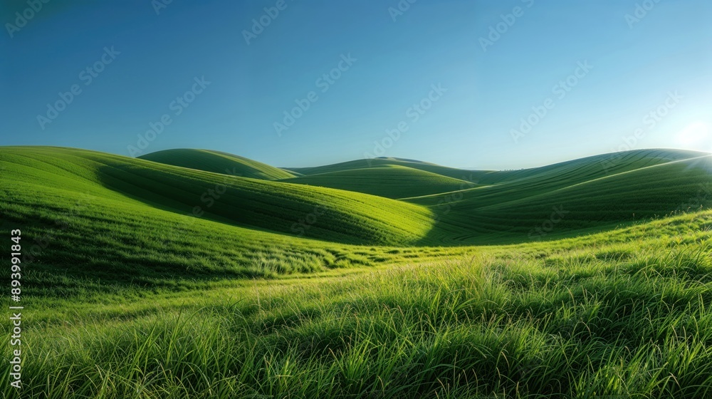 Campo verde exuberante, perfeito para designs que evocam frescor, vida e paz Campo verde exuberante, perfeito para designs que evocam frescor, vida e paz