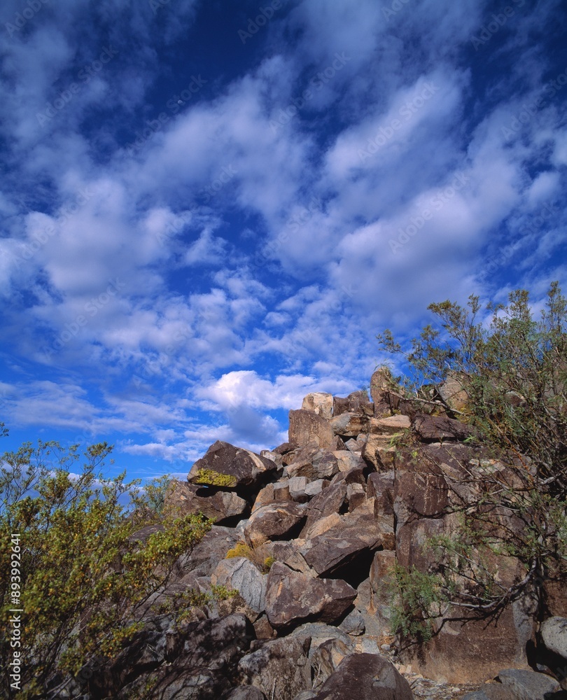 Rocks With Ancient Petroglyph Rock Art, Near Three Rivers Petroglyph National Recreation Site Rocks With Ancient Petroglyph Rock Art, Near Three Rivers Petroglyph National Recreation Site