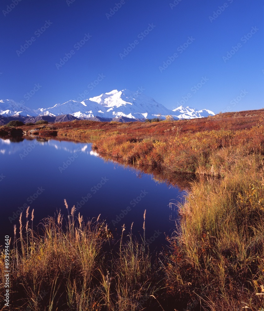 Obraz premium Pond By Snow Capped Mountains