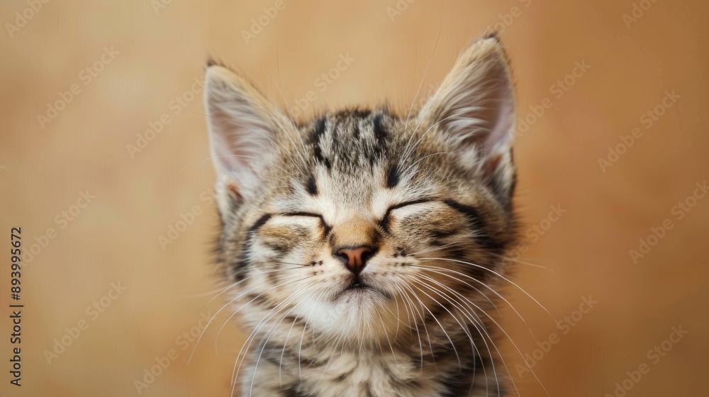 Explore funny cat emojis to display pet affection and express feelings Explore funny cat emojis to display pet affection and express feelings