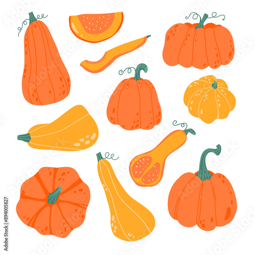 Pumpkins vector set. Autumn, fall, thanksgiving and halloween decoration. Cute pumpkins vector set. Various of Pumpkin Squash, Zucchini, Hubbard squash,Calabash. Vector Illustration