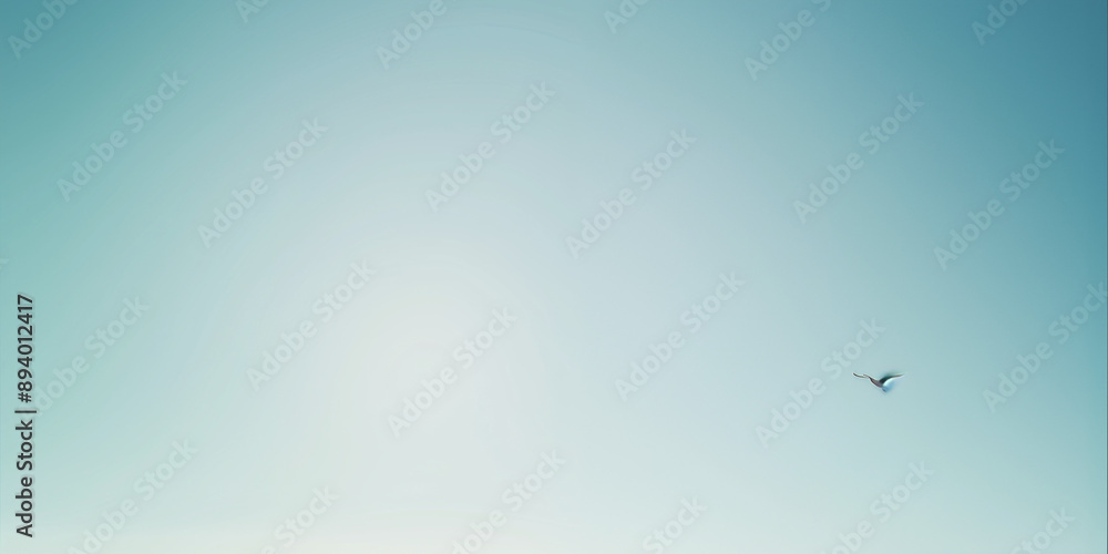 A clear sky with a small white bird flying in the distance, minimalist photography, sky blue and azure colors, minimal retouching, muted and soft tones, white background