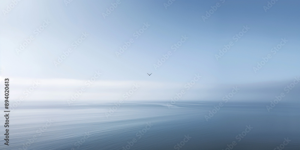 Minimalist clean sky with a small white bird flying in the distance, shot from an aerial perspective Minimalist clean sky with a small white bird flying in the distance, shot from an aerial perspective