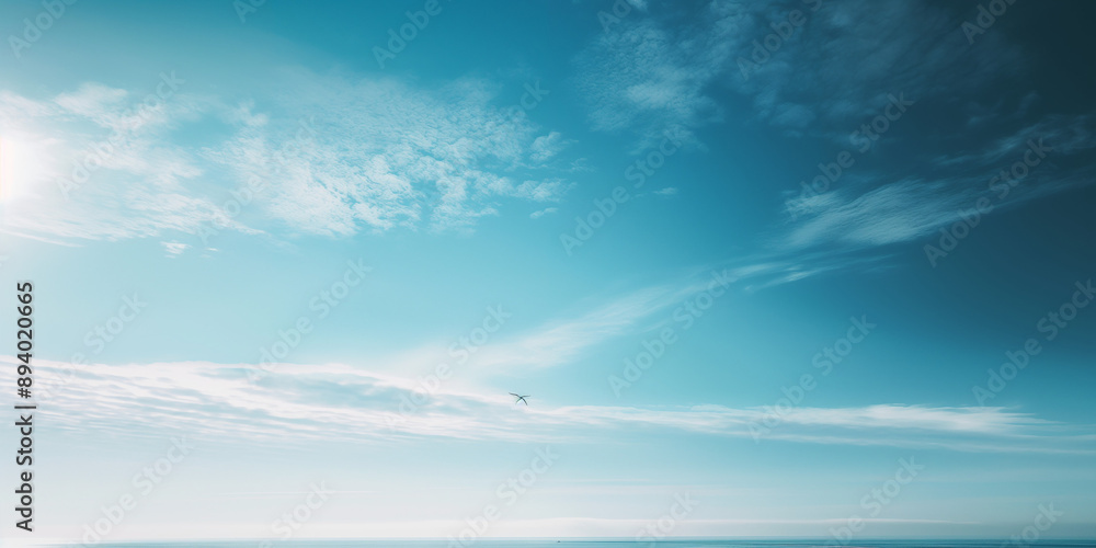 Fototapeta premium Minimalist clean sky with a small white bird flying in the distance, shot from an aerial perspective