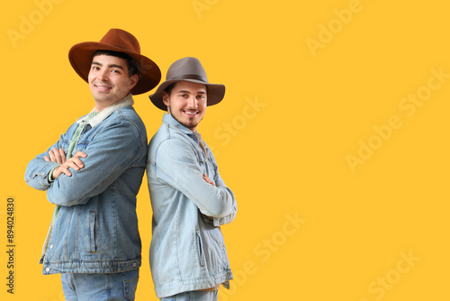 Handsome young brothers in ...