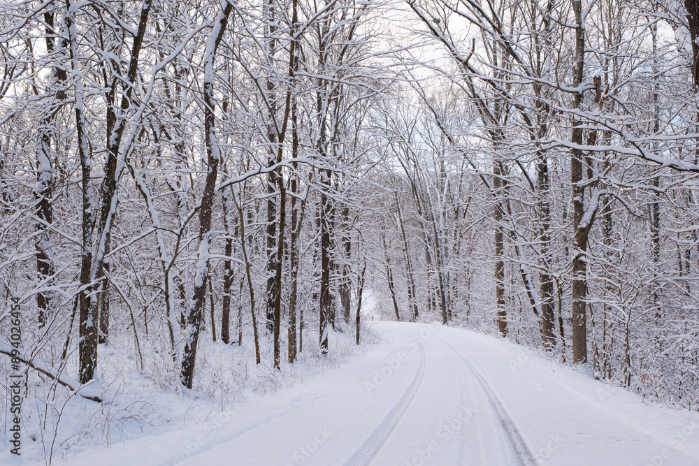A county road through a winter forest. The road is covered in snow with only a single line of tracks. The trees are covered in wet snow. A county road through a winter forest. The road is covered in snow with only a single line of tracks. The trees are covered in wet snow.